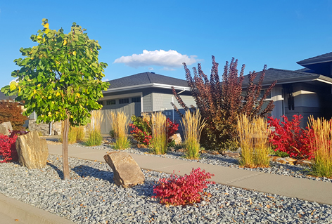 Beautify your home with professional landscaping from SCS Fargo.